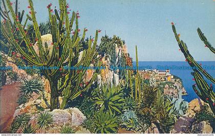 R014832 Jardin Exotique de Monaco. Cereus Validus et Divers. Aloes Agaves et Yuc