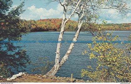 R034044 Greetings from Port Carling. Muskoka. Ontario. 1969