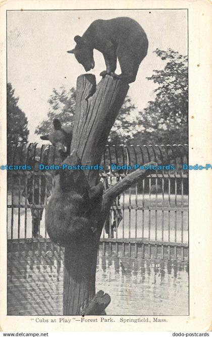 R058566 Cubs at Play. Forest Park. Springfield. Mass. The Springfield News Compa