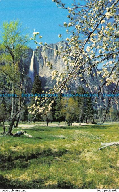 R101222 Yosemite National Park. California. Springtime in Yosemite. Western Publ