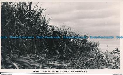 R126031 Cane Cutters. Cairns District. Murray Views. RP. B. Hopkins