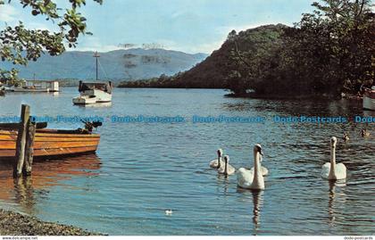 R133431 Loch Lomond. Dunbartonshire. N. P. O. 1977