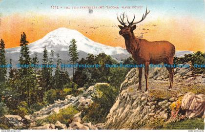 R155659 The Two Sentinels Mt. Tacoma. Washington. 1910