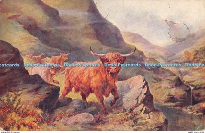 R357313 James Henderson Highland Cattle Series 12