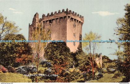 R423477 Cork Blarney Castle Postcard