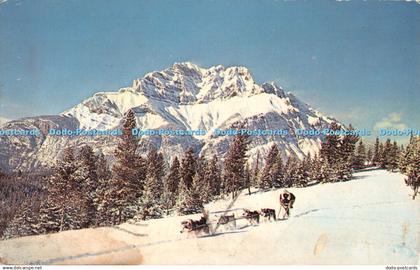 R465453 Scenic Northern Alaska Bill Bacon Fairbanks Plastichrome Colourpicture A