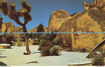 R581916 Hidden Valley Joshua Tree National Monument Western Resort Publications