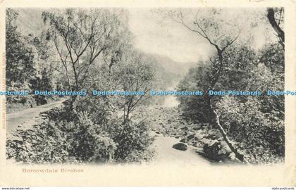 R599449 Borrowdale Birches 1911