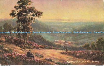 R600697 Coldharbour Leith Hill Surrey S Hildesheimer Surrey Views Series No 5523