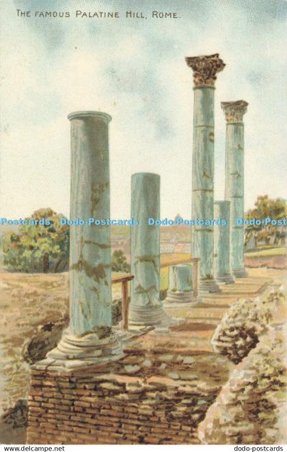 R619664 Famous Palatine Hill Rome Misch and Stocks Classic Rome Series No 214