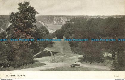 R640263 Clifton Downs. Postcard