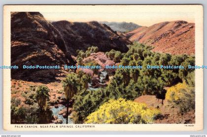 R746629 California Palm Canyon Near Palm Springs Willard Stephen H Willard C T P