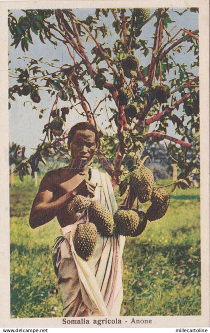 SOMALIA - Somalia Agricola - Anone