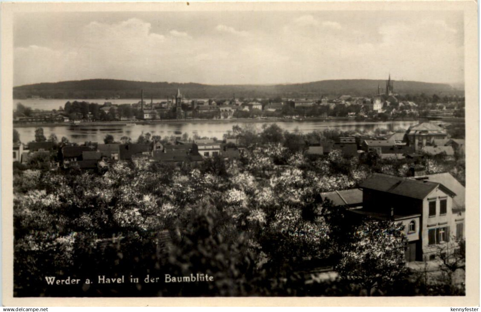 Werder a d Havel, Baumblüte