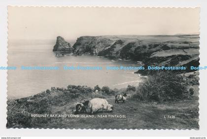 C016158 Bossiney Bay and Long Island. near Tintagel. Valentine. RP