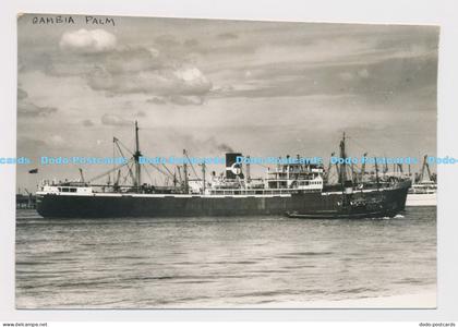 C021784 Gambia Palm. N Fleet. 1953. Ship. Photo