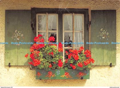 D003477 Window. Flowers. Mauritius