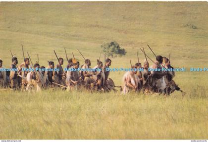 D012964 Swaziland. Swazi Warriors on the March. Bob Forrester. B. Poynter