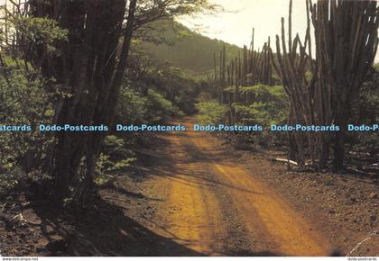 D024067 National Park. Washington. Bonaire N. A. Planeta. Kralendijk Trading