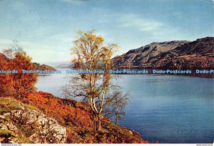 D024859 Loch Ness. Inverness shire. Dixon