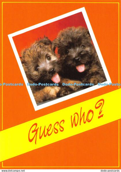 D028885 Guess Who. Portal Publications. Camden Graphics