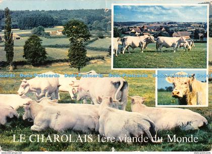 D032025 Le Charolais lere viande du Monde. Cim. Multi View