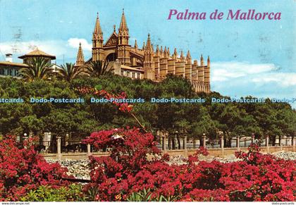 D044652 Palma de Mallorca. Baleares. Espana. Palma. La Catedral Desde el Desemba