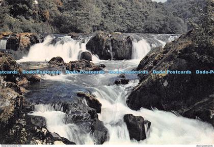 D051340 Cardiganshire. Salmon Leap Falls. Cenarth. South Wales. J. Arthur Dixon