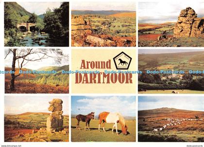 D054418 Around Dartmoor. Sheep on Dartmoor. Manaton. J. Arthur Dixon. Multi View