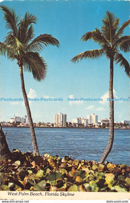 D062649 West Palm Beach. Florida Skyline. D. and M. Post Cards. West Palm Beach.