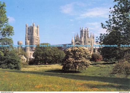 D065163 Ely Cathedral. From the Park. Judges. C. 11950. X. Ely Cathedral Shop