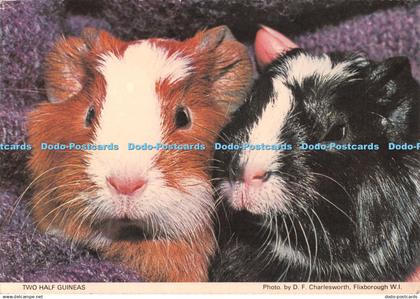 D089324 Two Half Guineas. Lincolnshire North. Lincolnshire South and Humberside