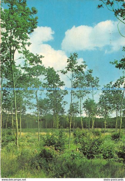 D104034 Groeten uit Ede. Postcard. 1965