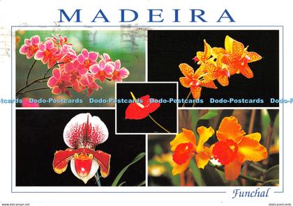 D105001 Madeira. Funchal. Madeira Orchid Farm. Quinta dos Saltos. Francisco Ribe