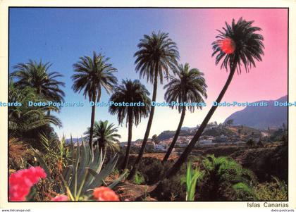 D161993 Islas Canarias. S. Bartolome de Tirajana. Edenfoto. Alberto Fares