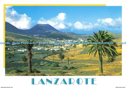 D172443 Lanzarote. Haria. A. Murillo