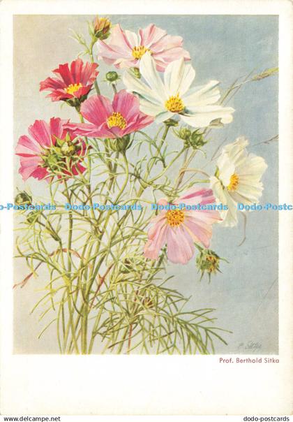 D186396 Flowers. Korsch. Prof. Berthold Sitka. 1981