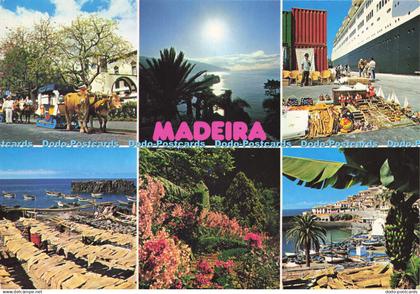 D188719 Madeira. The Best Views of Madeira. Hans Huber. Multi View