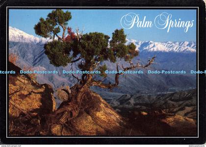 D191479 California. Land of Contrasts. Palm Springs. Western Resorts Publication