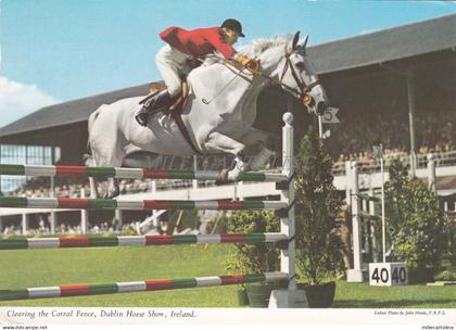 IRELAND - Dublin, Clearing the Corral Fence, Dublin Horse Show 1971