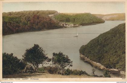 PC68878 River Fall. King Harry Passage. Photochrom. No 8954. 1937