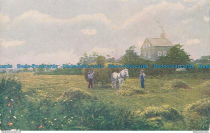 R014017 Lily Pond Meadows. Nantucket. H. L. Wyer