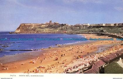 R063915 North Bay. Scarborough. Lilywhite