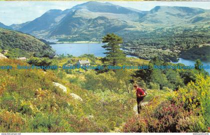 R071736 Snowdon and Llyn Padarn. Caernarvonshire. Dixon