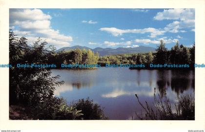 R072137 Coffin Pond. White Mountains. 1992