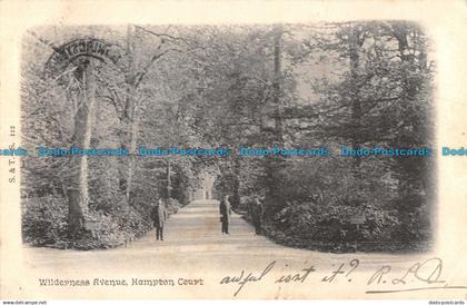 R090678 Wilderness Avenue. Hampton Court. S. and T. 1903