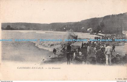 R289852 Caudebec en Caux Le Mascaret P Vedie