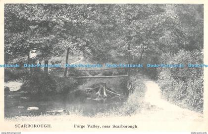 R390143 Scarborough Forge Valley near Scarborough The London Stereoscopic Compan