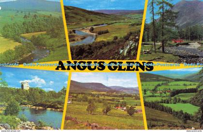 R616822 Angus Glens Colourmaster International Precision Multi View