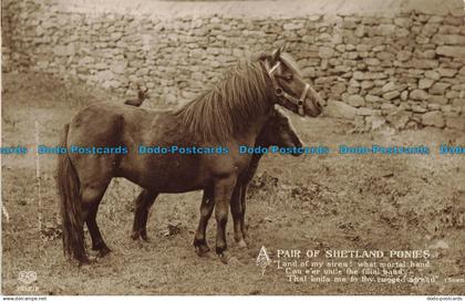 R638793 A Pair of Shetland Ponies. E. A. Schwerdtfeger